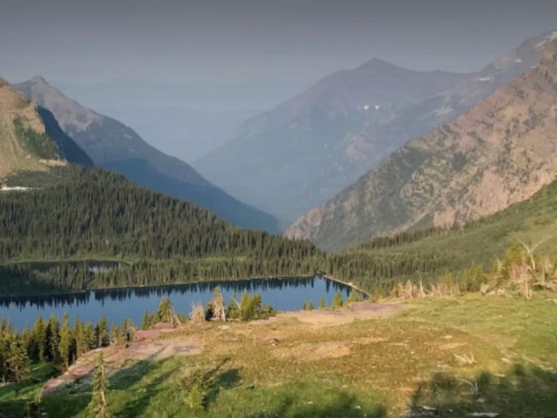 Missing Hiker Found Dead From Suspected Bear Attack 50 Feet Off Mt Brown Trail in Glacier National Park Montana First Fatal Bear Incident Since 1998