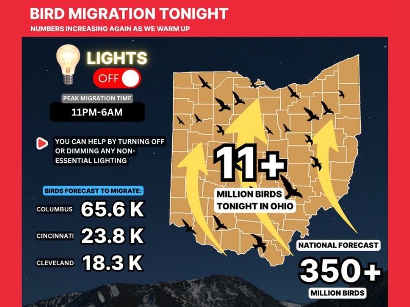 Over 11 Million Birds Forecast to Migrate Across Ohio Including Columbus Cincinnati and Cleveland Tonight May 15 Peak Hours 11 PM to 6 AM as Part of 350 Million National Migration