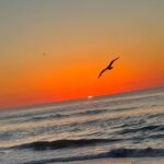 Stunning Fiery Red and Orange Sunrise Captured Over Ocean at Kure Beach New Hanover County North Carolina This Morning