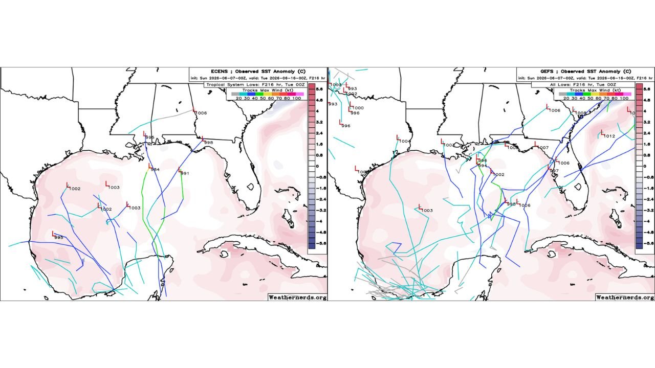 Gulf of Mexico and Gulf Coast States Seeing Further Decreased Tropical Development Chances as Euro, GFS, and AI Ensembles All Lose Interest Sunday June 7
